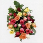 Mixed Roses